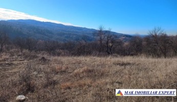 vanzare-teren-2816-mp-intravilan-cretisoara-campulung-muscel-arges-1