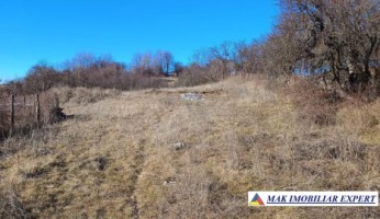 vanzare-teren-2816-mp-intravilan-cretisoara-campulung-muscel-arges
