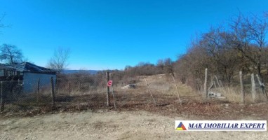 vanzare-teren-2816-mp-intravilan-cretisoara-campulung-muscel-arges-5
