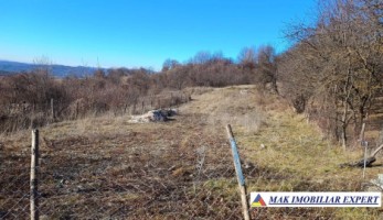 vanzare-teren-2816-mp-intravilan-cretisoara-campulung-muscel-arges-6
