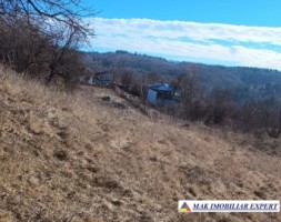 vanzare-teren-2816-mp-intravilan-cretisoara-campulung-muscel-arges-4