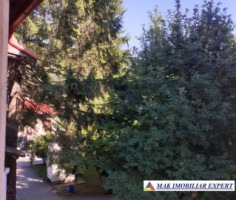 apartament-garsoniera-la-casa-centru-valea-doftanei-prahova-oferta-unica-39