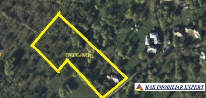 casa-batraneasca-3-camere-cu-teren-5403-mp-de-vanzare-in-valea-mare-pravat-arges-8