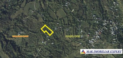 casa-batraneasca-3-camere-cu-teren-5403-mp-de-vanzare-in-valea-mare-pravat-arges-9