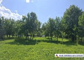 casa-musceleana-4-camere-renovata-4500-mp-teren-valea-silistii-aninoasa-arges-7