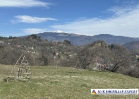 vand-teren-2500-mp-intravilan-in-nucsoara-arges