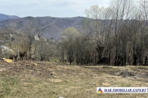 vand-teren-2500-mp-intravilan-in-nucsoara-arges-1