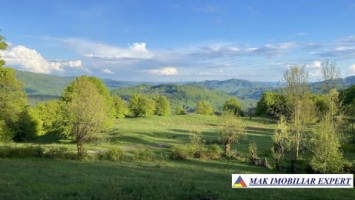 de-vanzare-teren-110-ha-intravilan-in-nucsoara-arges