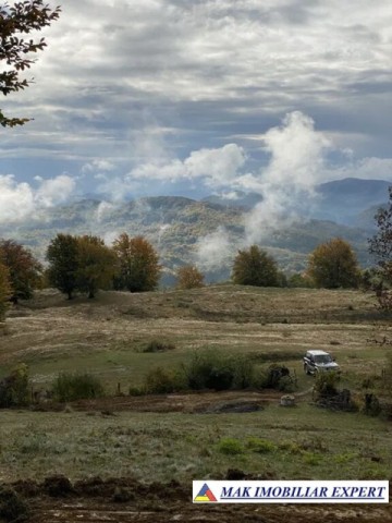 de-vanzare-teren-110-ha-intravilan-in-nucsoara-arges-3