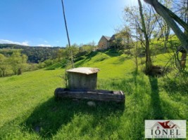 casa-de-vanzare-cu-46774-mp-teren-in-zona-vintu-de-jos-1