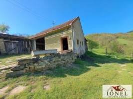 casa-de-vanzare-cu-46774-mp-teren-in-zona-vintu-de-jos-5