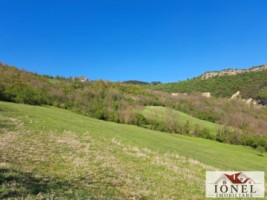 casa-de-vanzare-cu-46774-mp-teren-in-zona-vintu-de-jos-12