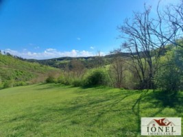 casa-de-vanzare-cu-46774-mp-teren-in-zona-vintu-de-jos-13