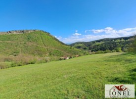 casa-de-vanzare-cu-46774-mp-teren-in-zona-vintu-de-jos-19