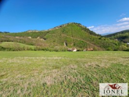 casa-de-vanzare-cu-46774-mp-teren-in-zona-vintu-de-jos-20