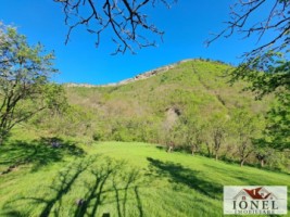 casa-de-vanzare-cu-46774-mp-teren-in-zona-vintu-de-jos-21
