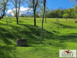 casa-de-vanzare-cu-46774-mp-teren-in-zona-vintu-de-jos-18