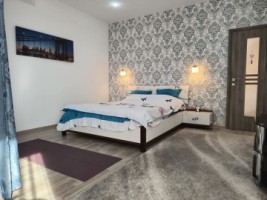 vanzare-casa-in-stupini-cu-teren-de-808-mp-8