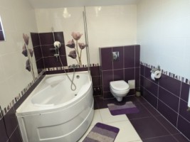 vanzare-casa-in-stupini-cu-teren-de-808-mp-12