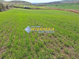 teren-extravilan-52600-mp-deschidere-500-m-la-drum-asfaltat-utilitati-langa-aprope-de-autostrada-2