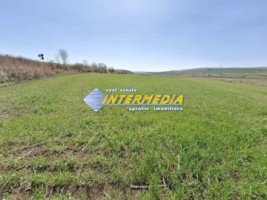 teren-extravilan-52600-mp-deschidere-500-m-la-drum-asfaltat-utilitati-langa-aprope-de-autostrada-3