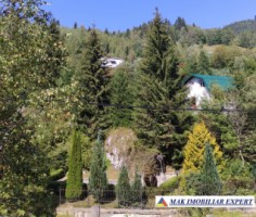vand-teren-3257-mp-extravilan-in-valea-cheii-dambovicioara-arges-11