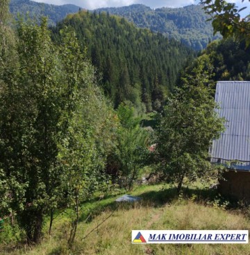 vand-teren-3257-mp-extravilan-in-valea-cheii-dambovicioara-arges-10