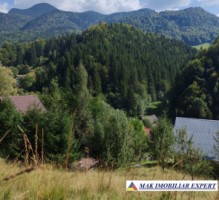 vand-teren-3257-mp-extravilan-in-valea-cheii-dambovicioara-arges-12