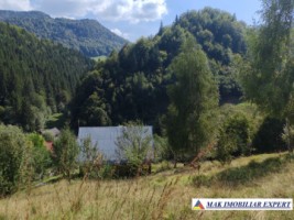 vand-teren-3257-mp-extravilan-in-valea-cheii-dambovicioara-arges-14