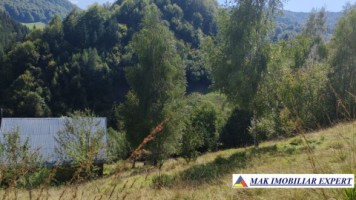 vand-teren-3257-mp-extravilan-in-valea-cheii-dambovicioara-arges-13