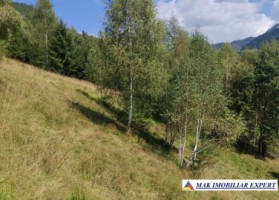 vand-teren-3257-mp-extravilan-in-valea-cheii-dambovicioara-arges-17