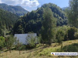 vand-teren-3257-mp-extravilan-in-valea-cheii-dambovicioara-arges-16