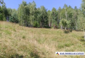 vand-teren-3257-mp-extravilan-in-valea-cheii-dambovicioara-arges-18