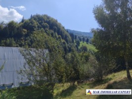 vand-teren-3257-mp-extravilan-in-valea-cheii-dambovicioara-arges-15