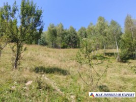 vand-teren-3257-mp-extravilan-in-valea-cheii-dambovicioara-arges-20