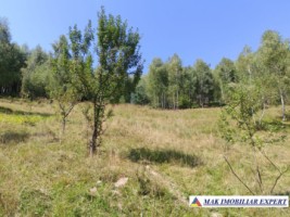 vand-teren-3257-mp-extravilan-in-valea-cheii-dambovicioara-arges-21