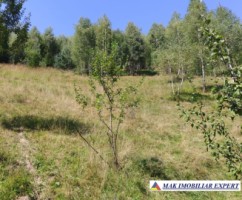 vand-teren-3257-mp-extravilan-in-valea-cheii-dambovicioara-arges-23
