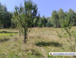 vand-teren-3257-mp-extravilan-in-valea-cheii-dambovicioara-arges-22