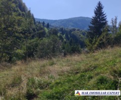 vand-teren-3257-mp-extravilan-in-valea-cheii-dambovicioara-arges-25