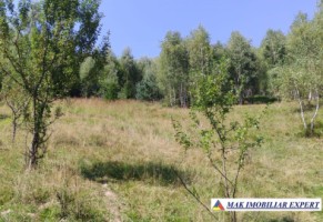 vand-teren-3257-mp-extravilan-in-valea-cheii-dambovicioara-arges-26