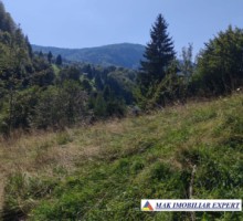 vand-teren-3257-mp-extravilan-in-valea-cheii-dambovicioara-arges-27