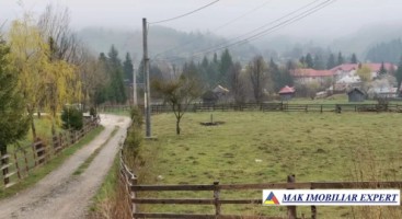 teren-intravilan-2000-mp-de-vanzare-in-podul-dambovitei-dambovicioara-arges-1