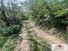 teren-intravilan-de-vanzare-in-metes-ampoita-7
