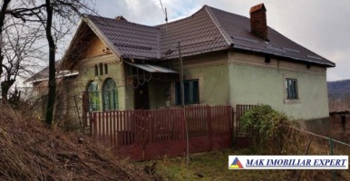 de-vanzare-casa-cu-7-camere-si-3500-mp-teren-in-schitu-golesti-arges