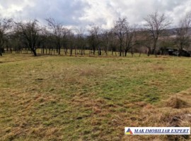 de-vanzare-casa-cu-7-camere-si-3500-mp-teren-in-schitu-golesti-arges-5