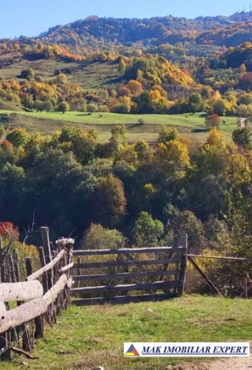 teren-l-4-1800-mp-intrav-flamanda-campulung-muscel-arges-1