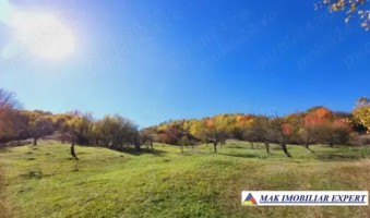 teren-l-3-1-ha-extravilan-v-romanestilor-campulung-arges-1