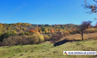 teren-l-3-1-ha-extravilan-v-romanestilor-campulung-arges-2