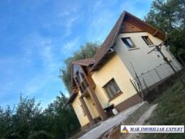 de-vanzare-vila-3-camere-cu-teren-5393-mp-in-apa-sarata-campulung-muscel-arges-3