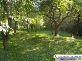 de-vanzare-vila-3-camere-cu-teren-5393-mp-in-apa-sarata-campulung-muscel-arges-14